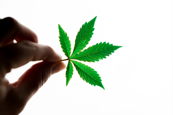 Experience the Power of Hemp: The Remarkable Benefits of Hemp Infused Skin Care for Your Skin