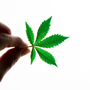 Experience the Power of Hemp: The Remarkable Benefits of Hemp Infused Skin Care for Your Skin