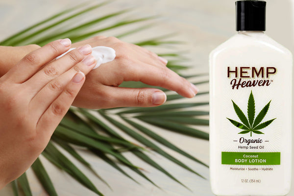 Moisturizing 101: Understanding the Difference Between Body Lotion and Body Cream
